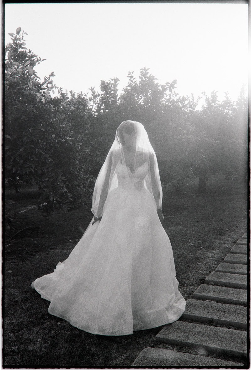 Best wedding photographer - Son Mir wedding