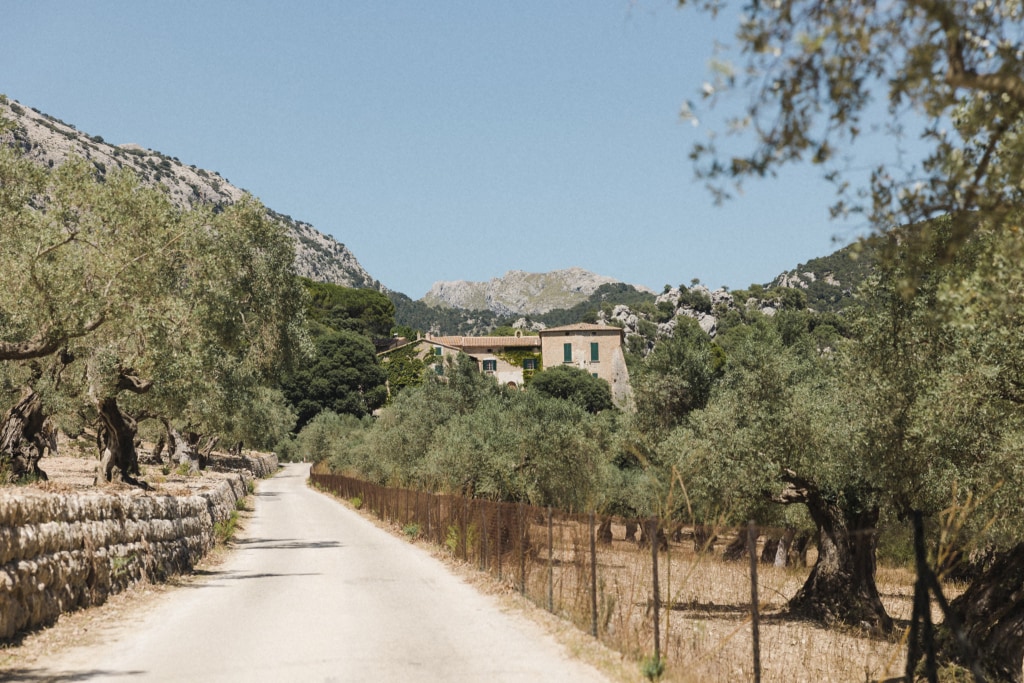 Comassema wedding Mallorca Spain